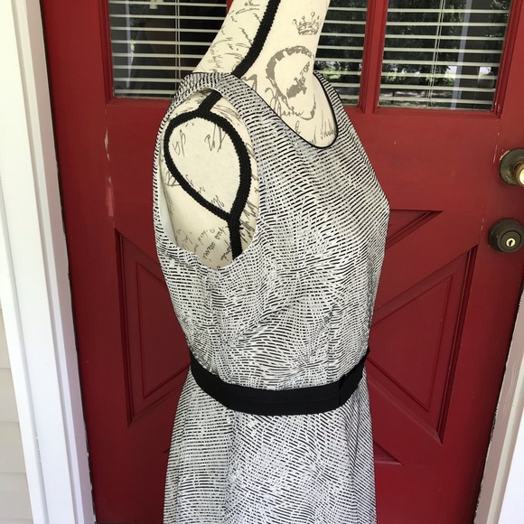 Antonio Melani Sleeveless Black White Lined Grosgrain Waist Shift Dress Size 8 - Picture 6 of 13